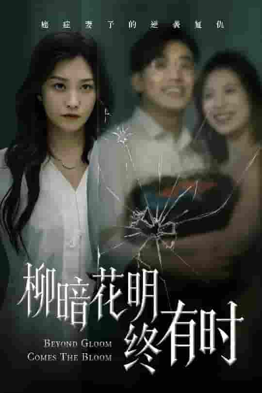 短剧《柳暗花明终有时》 完整版高清短剧免费，在线全集无限制享