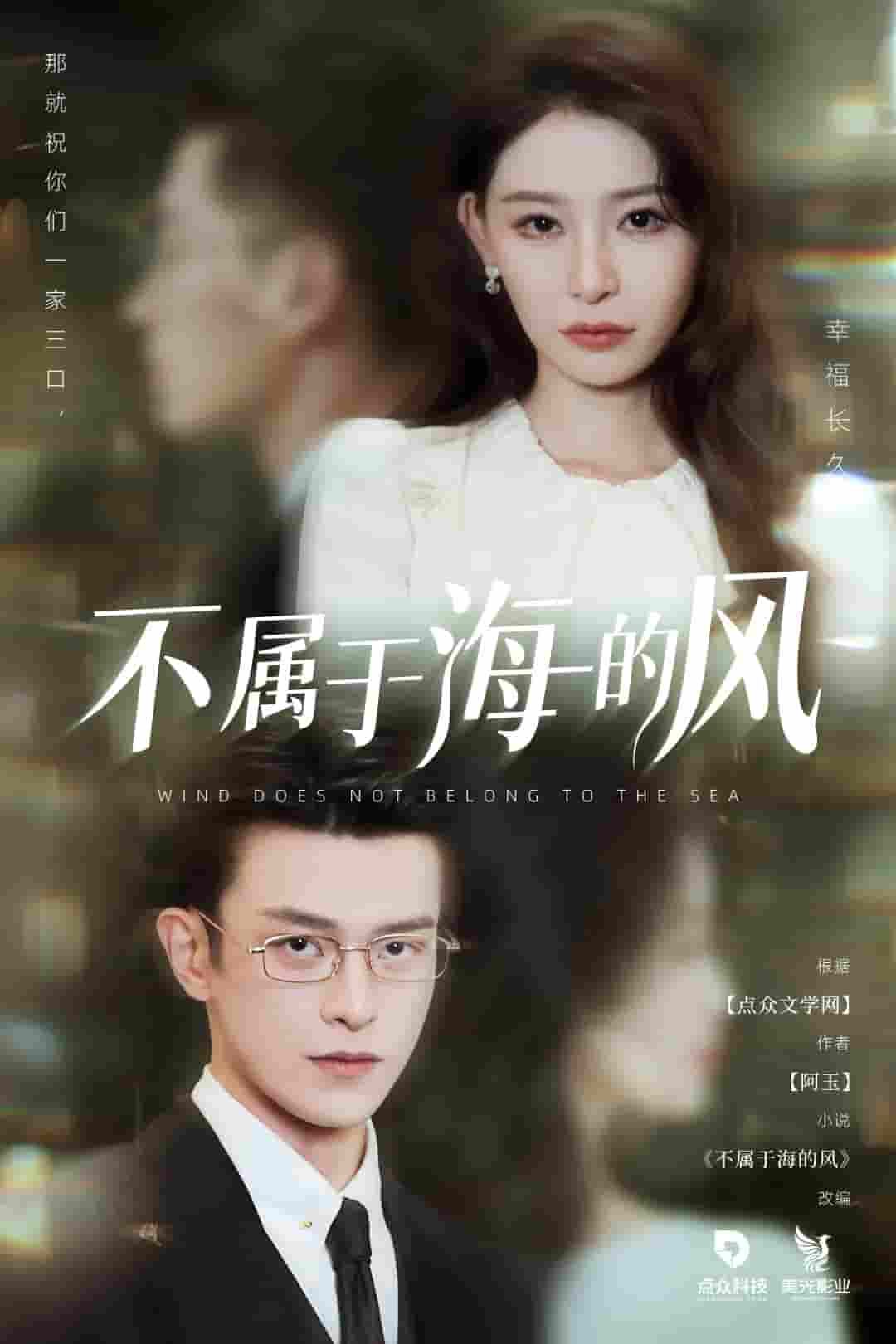 短剧《不属于海的风》 高清短剧全集免费，完整版在线观看无障碍