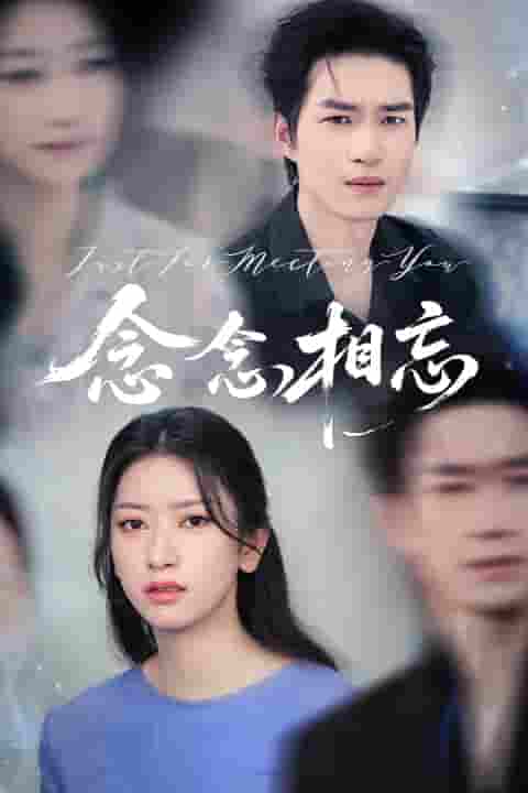 短剧《念念相忘&amp;焚心不候》 高清短剧全集在线，免费完整版观看无障碍  第1张