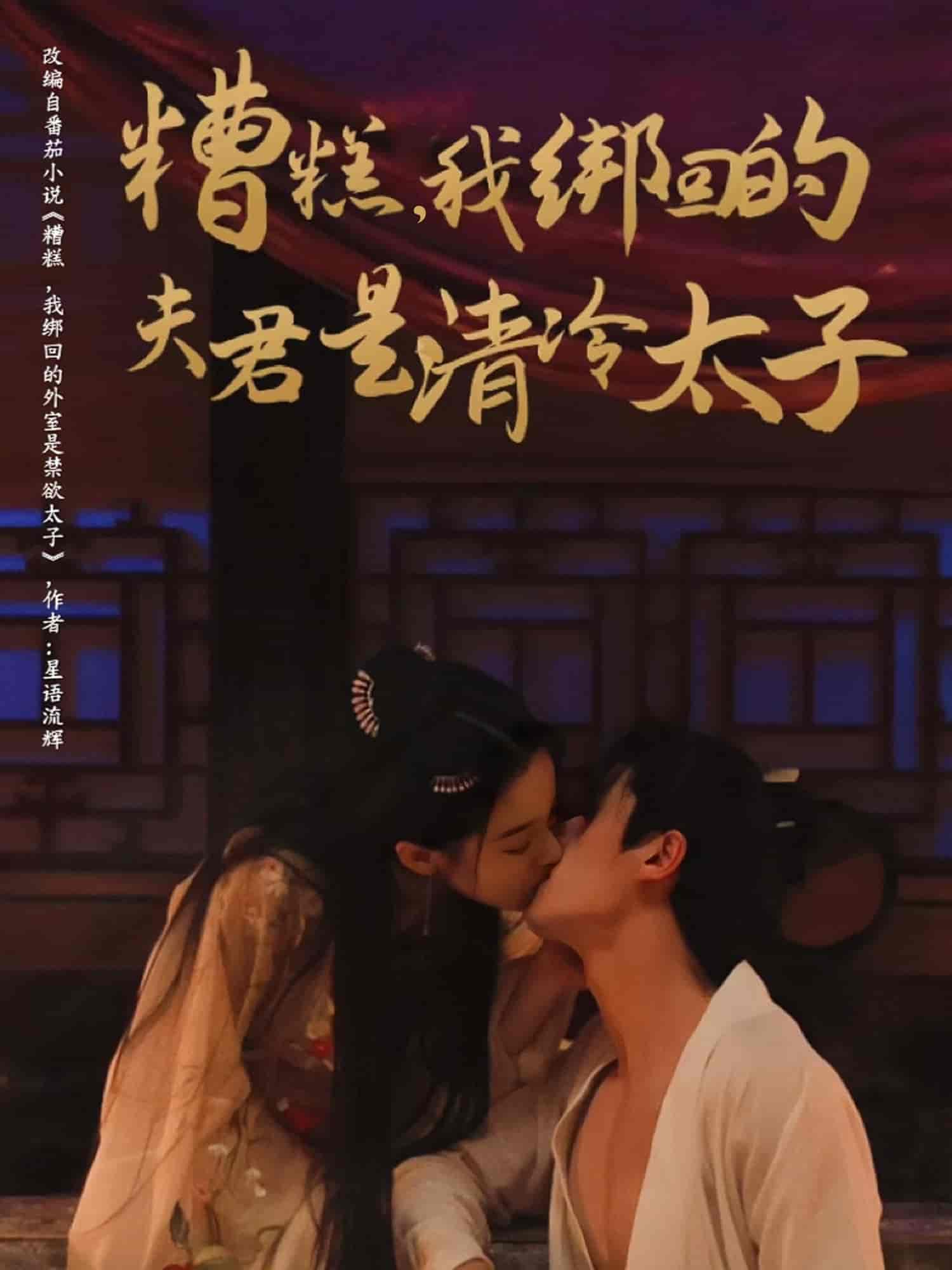 短剧《糟糕我绑回的夫君是清冷太子》 高清短剧全集免费看，完整版在线无束缚自由欣赏