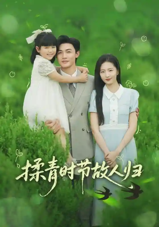 短剧《揉青时节故人归》 短剧全集在线，免费高清观看，大结局震撼来袭！