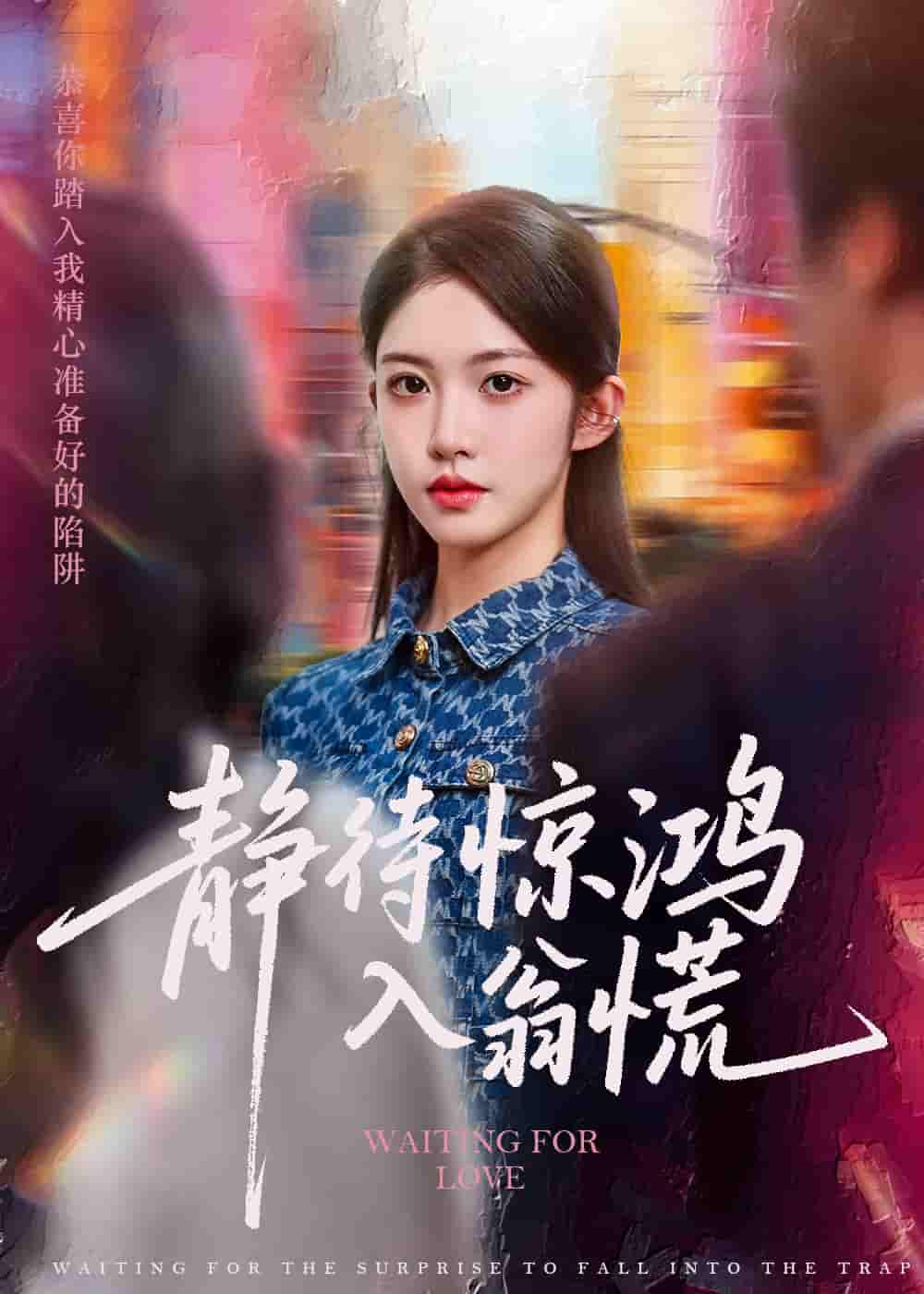 短剧《静待惊鸿入翁慌》 免费在线观看高清全集，完整版大结局已完结