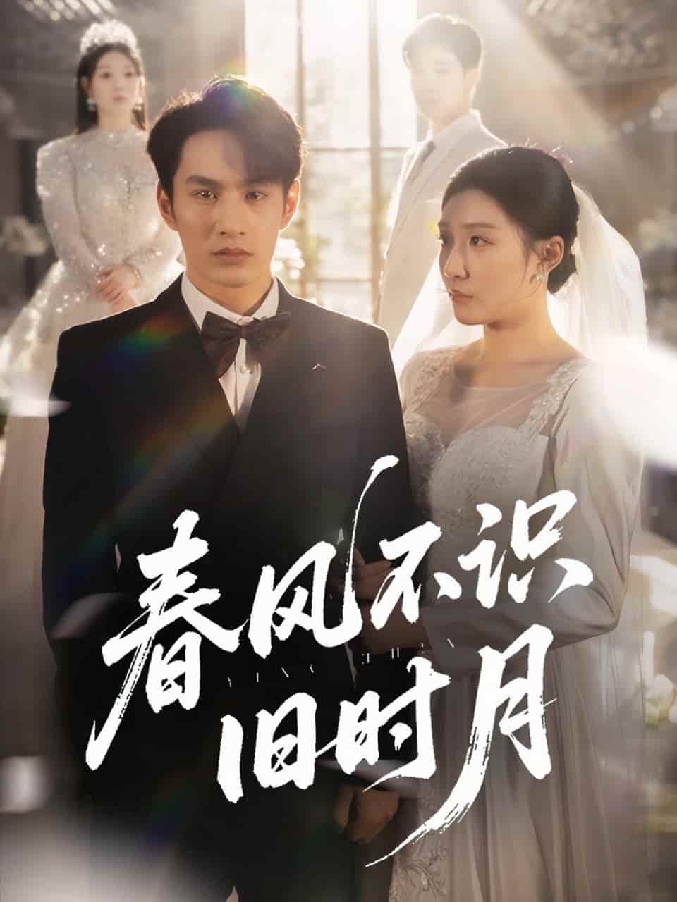 短剧《春风不识旧时月》 高清短剧全集免费，完整版在线随心享无障碍