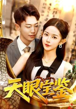 热门短剧天眼宝鉴（108集）主演杨林涛、赵书苑，全集完整版实时更新，免费在线观看未删减版。百度网盘、夸克网盘免费资源分享下载，畅追无间断！