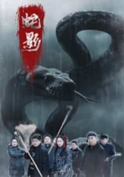 热门短剧蛇影25集全集,主演刘灵、闫一英,未删减版免费在线观看,百度网盘、夸克网盘资源同步开放下载,完整剧情随时畅享。  第1张 热门短剧蛇影25集全集,主演刘灵、闫一英,未删减版免费在线观看,百度网盘、夸克网盘资源同步开放下载,完整剧情随时畅享。  第1张