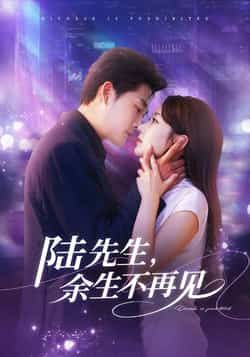 热门短剧陆先生，余生不再见全集完整版高清免费在线观看，未删减版资源重磅来袭！百度网盘、夸克网盘免费资源分享下载，轻松获取全集内容，不错过任何精彩瞬间，快来观看吧！