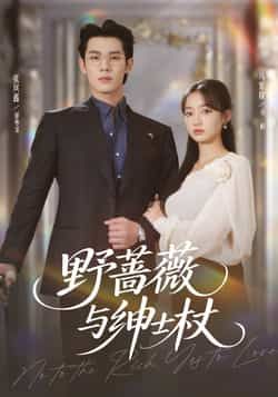 热门短剧野蔷薇与绅士杖全集完整版免费无卡顿在线观看，未删减版资源来袭！百度网盘、夸克网盘免费资源分享下载，高清播放流畅，剧情精彩不断，快来获取完整资源，沉浸式观看这场浪漫故事。